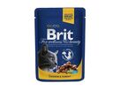 brit-premium-cat-kapsa-with-chicken-turkey-100g-68101
