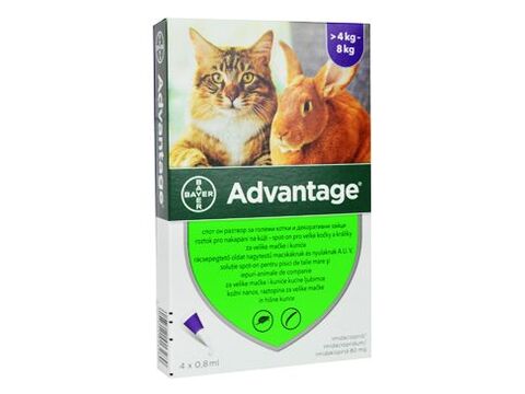 Advantage 80 10% 4x0,8ml pro kočky nad 4kg