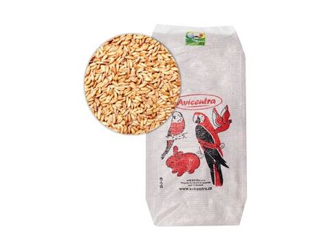 Avicentra oves nahý 25kg