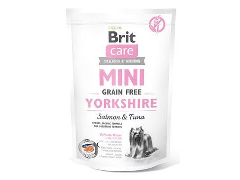 brit care mini yorkshire
