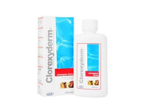 Clorexyderm forte šampon ICF 200ml