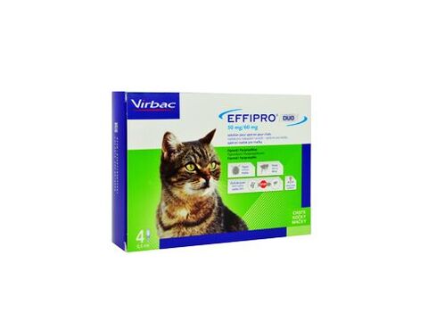 Effipro DUO Cat (1-6kg) 50/60 mg, 4x0,5ml