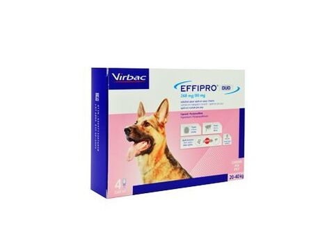 Effipro DUO Dog L (20-40kg) 268/80 mg, 4x2,68ml