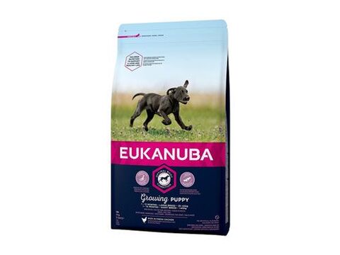 Eukanuba Dog Puppy & Junior Large 15kg
