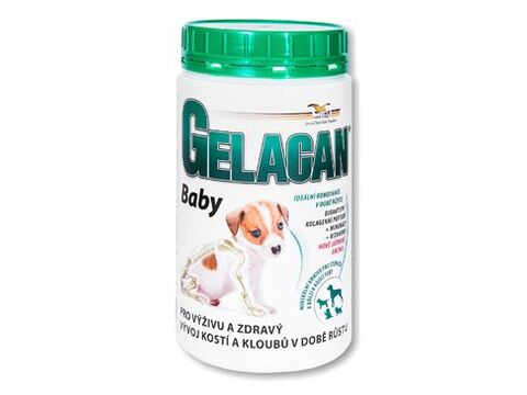 Gelacan Plus Baby 500g