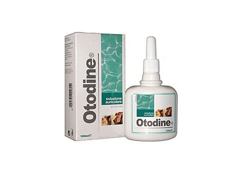 Otodine 100ml