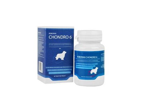 Roboran Chondro 6 pro psy 60tbl