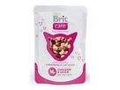 brit-care-cat-kapsa-chicken-duck-pouch-80g-48387