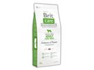 brit-care-dog-grain-free-adult-lb-salmon-potato-12kg-76658