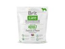 brit-care-dog-grain-free-adult-lb-salmon-potato-1kg-76660