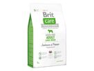 brit-care-dog-grain-free-adult-lb-salmon-potato-3kg-76659