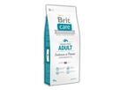 brit-care-dog-grain-free-adult-salmon-potato-12kg-76655