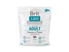 brit-care-dog-grain-free-adult-salmon-potato-1kg-76657