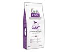 brit-care-dog-grain-free-giant-salmon-potato-12kg-76661