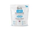 brit-care-dog-grain-free-junior-lb-salmon-potato-1kg-76654