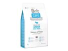 brit-care-dog-grain-free-junior-lb-salmon-potato-3kg-76653
