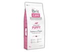 brit-care-dog-grain-free-puppy-salmon-potato-12kg-76649