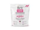 brit-care-dog-grain-free-puppy-salmon-potato-1kg-76651