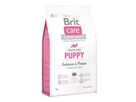 brit-care-dog-grain-free-puppy-salmon-potato-3kg-76650