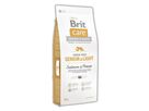brit-care-dog-grain-free-senior-light-salmon-potato-12kg-76664