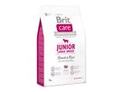 brit-care-dog-junior-large-breed-lamb-rice-3kg-76635