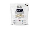 brit-care-dog-show-champion-1kg-76680
