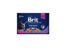brit-premium-cat-kapsa-fish-plate-400g-4x100g-68104