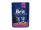 brit-premium-cat-kapsa-with-salmon-trout-100g-68099