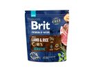 brit-premium-dog-by-nature-sensitive-lamb-1kg-95007