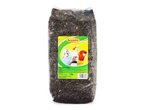 Avicentra slunečnice černá 1kg