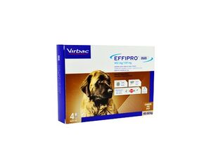 Effipro DUO Dog XL (40-60kg) 402/120 mg, 4x4,02ml