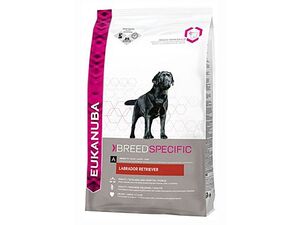 Eukanuba Dog Labrador Retriever 12kg