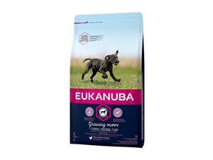 Eukanuba Dog Puppy & Junior Large 15kg