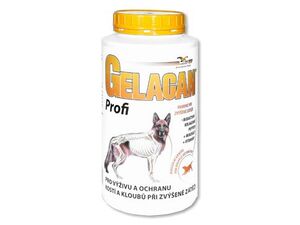 Gelacan Plus Profi 1000g