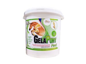 Gelapony Fast 10,8kg