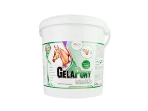 Gelapony VitaMin 5400g