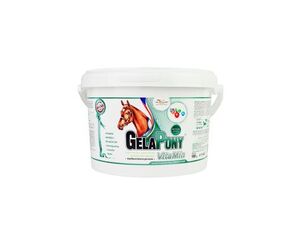 Gelapony VitaMin 900g