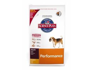Hill's Canine Dry Performance 12kg