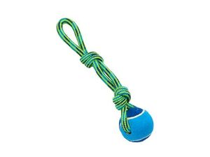 Hračka pes BUSTER Smyčka s tenisákem modr/zelená 30cm