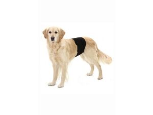 Kalhoty pro psy proti značkování 90x30cm 1ks KAR new