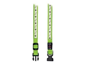 Obojek USB svítící 30-40cm/25mm S-M zelený TR