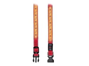 Obojek USB svítící 40-50cm/25mm M-L červený TR