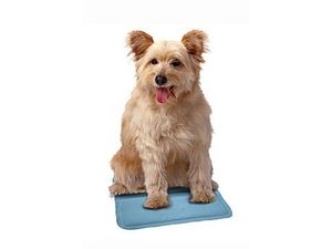 Podložka chladicí SnuggleSafe větší zvířata 40x50cm